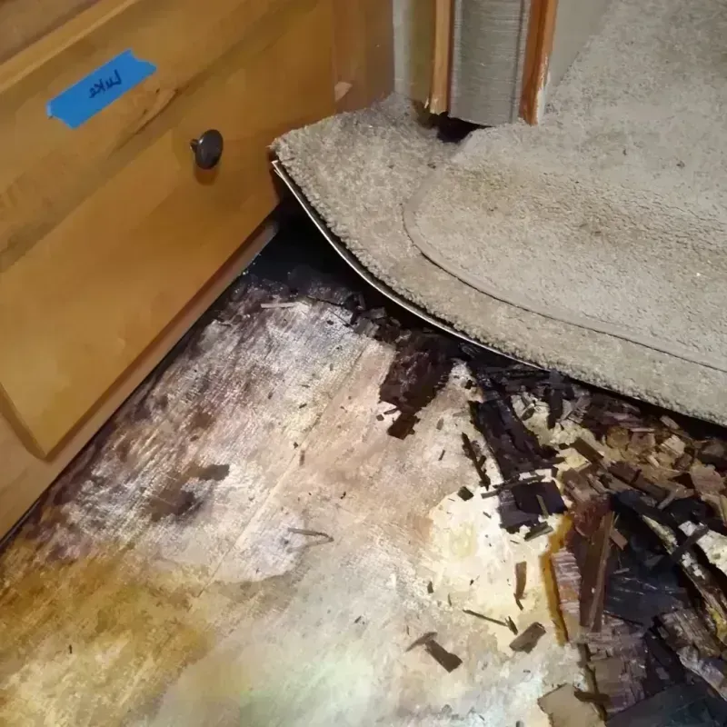 Best Wood Floor Water Damage Service in Byesville, OH